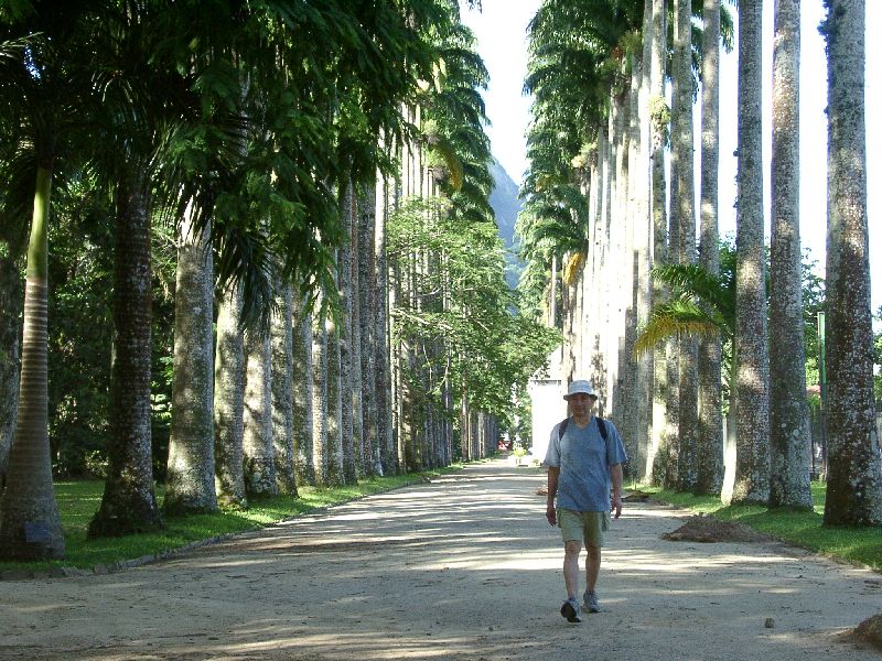 sous les cocotiers