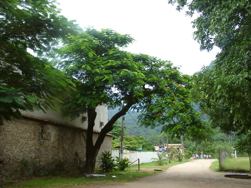 une rue � Abraao