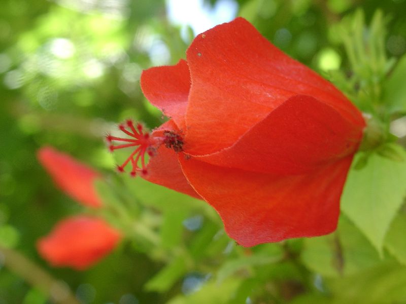 et du rouge cette fois