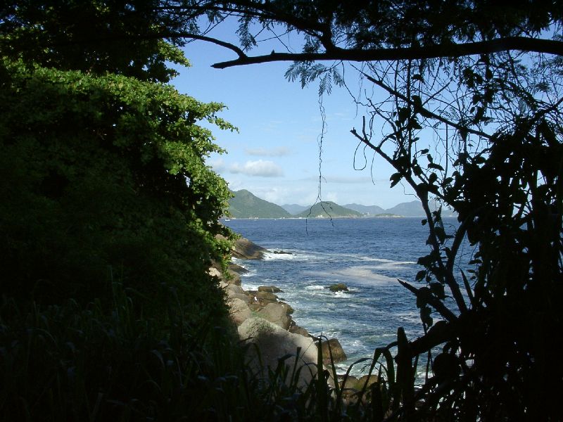 la baie de Rio � travers la for�t