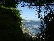 la baie de Rio &agrave; travers la for&ecirc;t