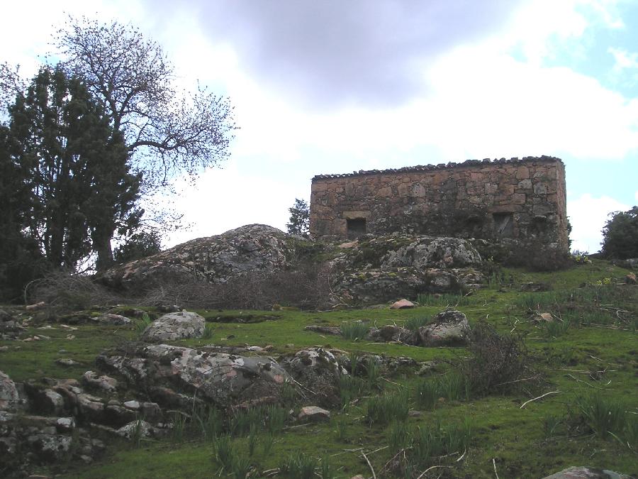  Vers le Capu San Petru, un s�choir de ch�taignes.