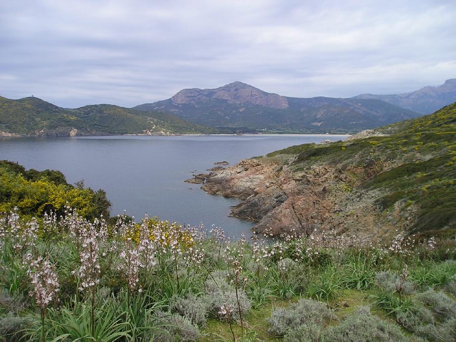 23 avril : le golfe de Carg�se.