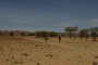 IMG_9446